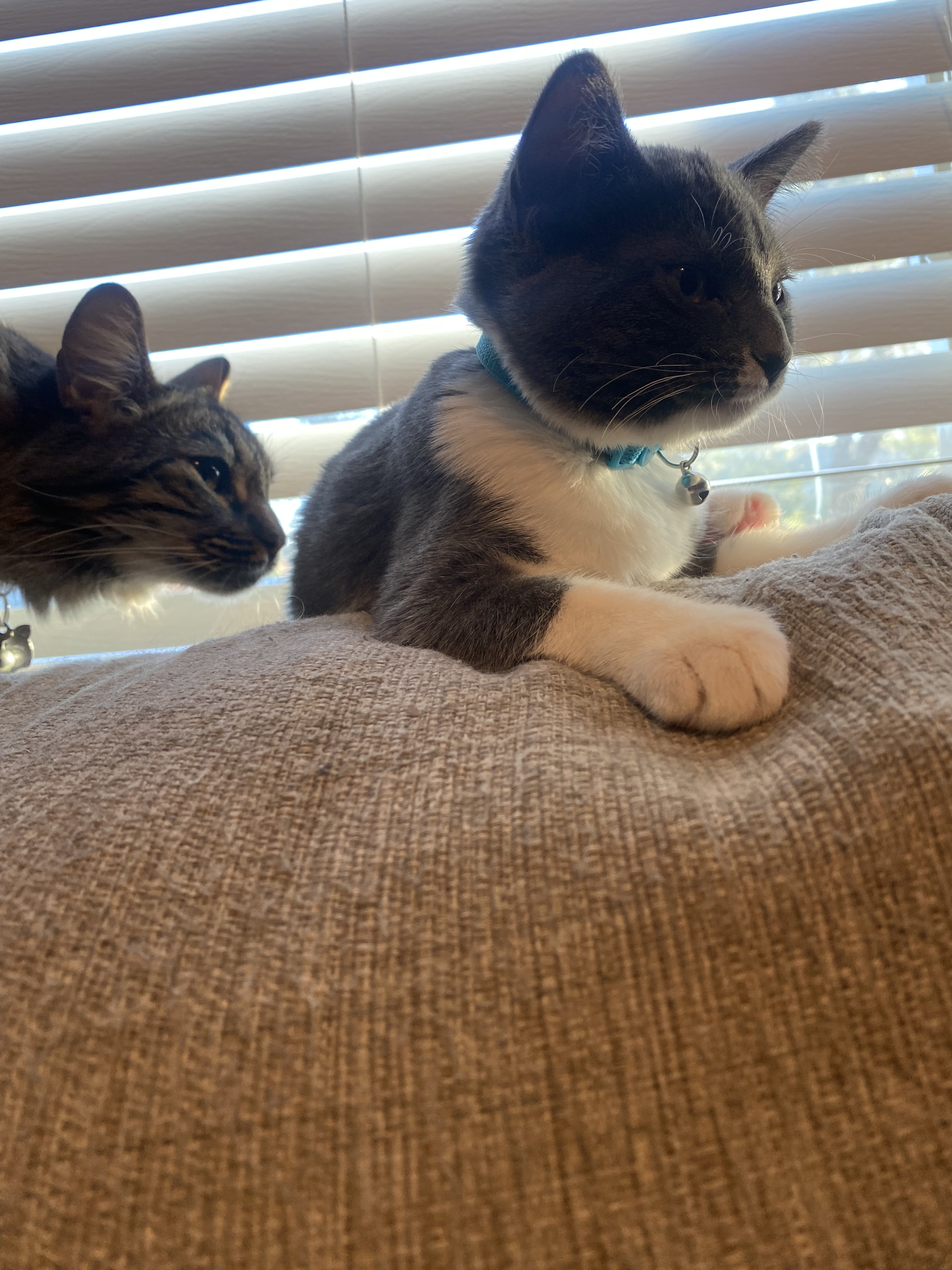 Chrissy and Emma on couch